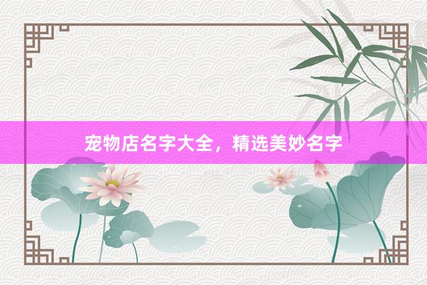 宠物店名字大全，精选美妙名字