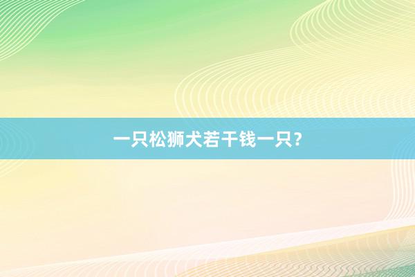 一只松狮犬若干钱一只？