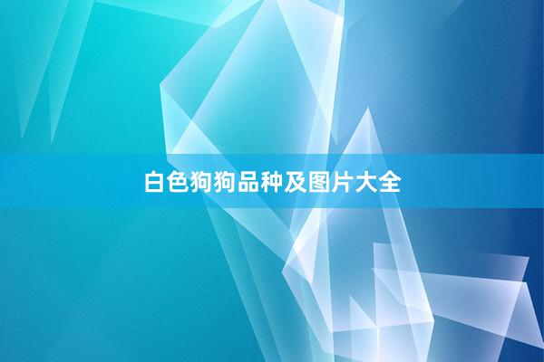 白色狗狗品种及图片大全