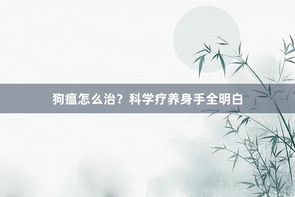 狗瘟怎么治？科学疗养身手全明白