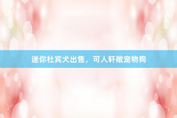 迷你杜宾犬出售，可人轩敞宠物狗