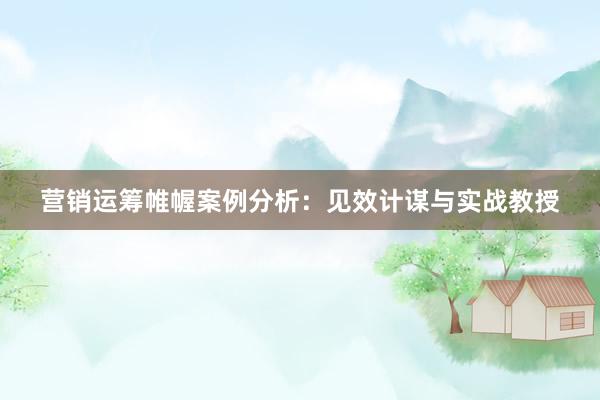 营销运筹帷幄案例分析：见效计谋与实战教授